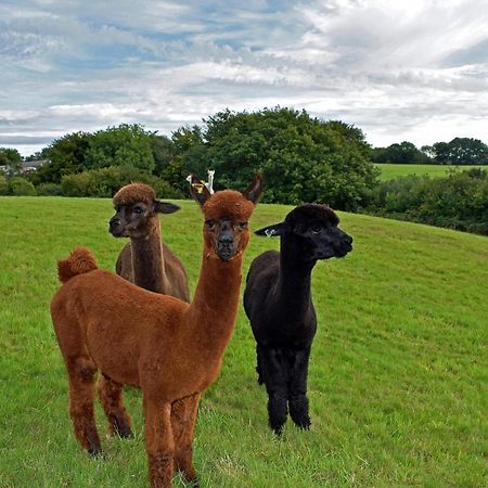 The Snickett Combe Martin Quarto foto